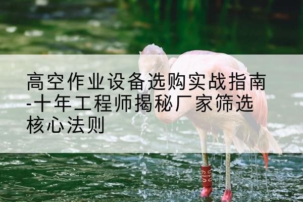 南郑剪叉式升降机厂家-高空作业设备选购实战指南-十年工程师揭秘厂家筛选核心法则