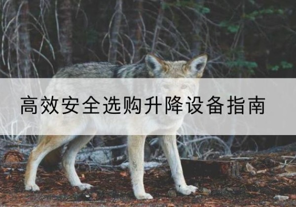 南郑升降货梯厂家推荐-*安全选购升降设备指南