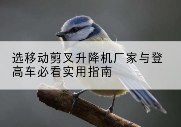 南郑电动升降机厂家-选移动剪叉升降机厂家与登高车必看实用指南