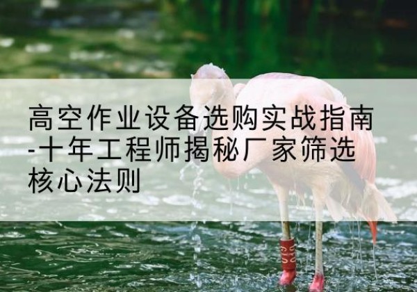南郑剪叉式升降机厂家-高空作业设备选购实战指南-十年工程师揭秘厂家筛选核心法则