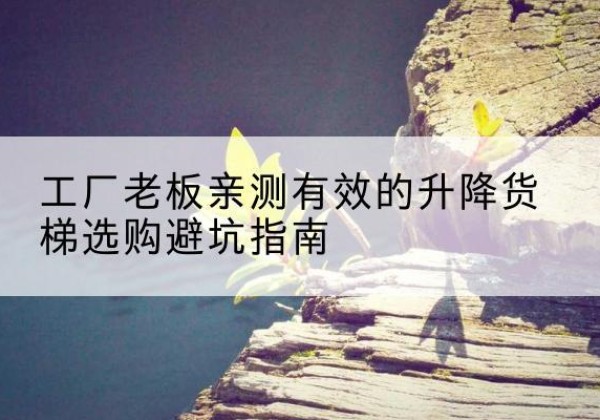 南郑升降货梯怎么选-工厂老板亲测有效的升降货梯选购避坑指南